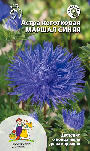 Астра МАРШАЛ СИНЯЯ
