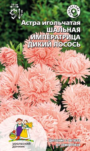 Астра ШАЛЬНАЯ ИМПЕРАТРИЦА ДИКИЙ ЛОСОСЬ — Игольчатая
