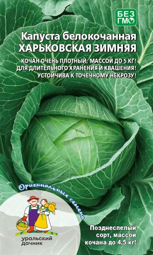 Капуста ХАРЬКОВСКАЯ ЗИМНЯЯ — Кочан очень плотный, массой до 5 кг! Для длительного хранения и квашения! Устойчива к точечному некрозу!