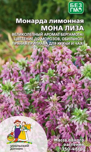 Монарда лимонная МОНА ЛИЗА