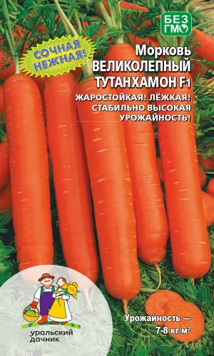 Морковь ВЕЛИКОЛЕПНЫЙ ТУТАНХАМОН F1 — Сочная, нежная! Жаростойкая и лёжкая! Всегда хорошая урожайность!