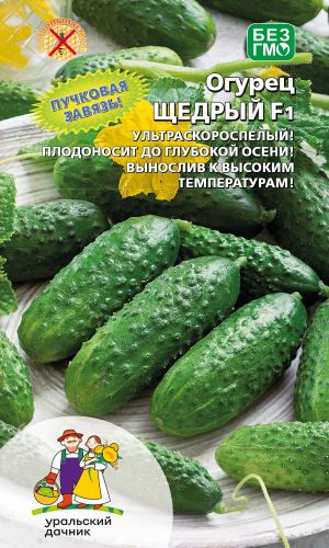 Огурец ЩЕДРЫЙ F1 — Ультраскороспелый! Пучковая завязь! Плодоносит до глубокой осени! Вынослив к высоким температурам!