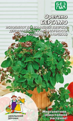 Орегано БЕРГАМО