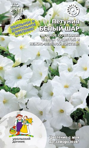 Петуния БЕЛЫЙ ШАР
