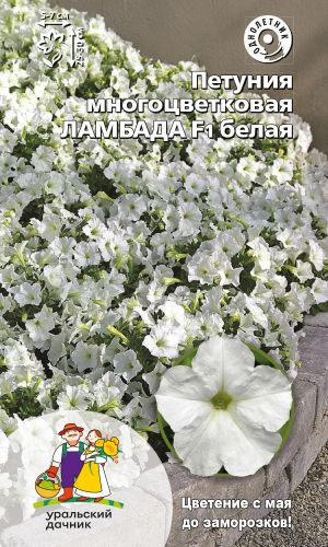 Петуния ЛАМБАДА F1 БЕЛАЯ —