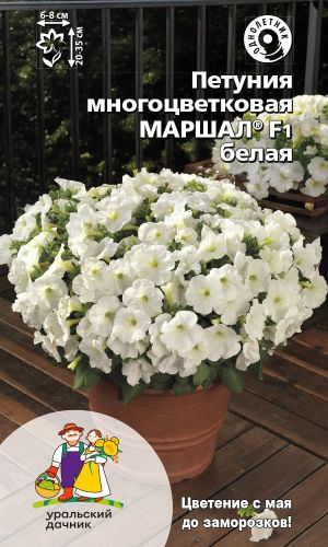 Петуния МАРШАЛ F1 БЕЛАЯ —