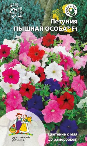 Петуния ПЫШНАЯ ОСОБА F1 —