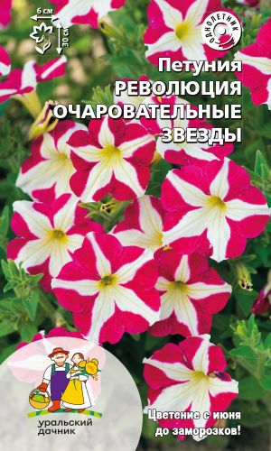 Петуния РЕВОЛЮЦИЯ ОЧАРОВАТЕЛЬНЫЕ ЗВЕЗДЫ