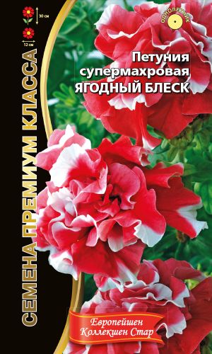 Петуния ЯГОДНЫЙ БЛЕСК супермахровая