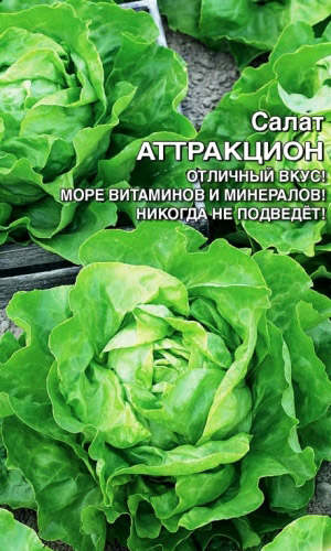 Салат АТТРАКЦИОН