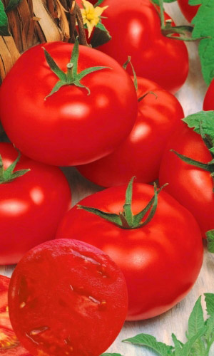 Томат КРАСНАЯ КОРОЛЕВА (РЕД КУИН) — Королева томатов по вкусу: сладкий и мясистый! Устойчив к погодным стрессам!