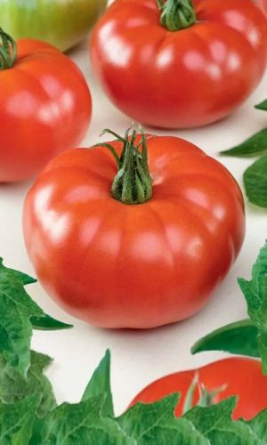 Томат ПОДАРОЧНЫЙ — Красивые, крупные, изумительного вкуса томаты! Не растрескивается! Хорошо завязывает плоды!