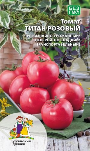 Томат ТИТАН РОЗОВЫЙ — Кусты крепкие, коренастые! Выносит перепады температур!