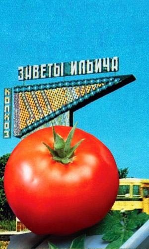 Томат ЗАВЕТЫ ИЛЬИЧА — Из самых надёжных сортов! Вкус как в детстве, плоды сладкие как персик, нежные, сахаристые, тающие во рту! Не требует сложного ухода! Устойчив к болезням!