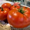 Томат ЧУДО НА РЕКОРД