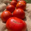 Томат МИНУСИНСКИЙ УЛУЧШЕННЫЙ ОТБОР